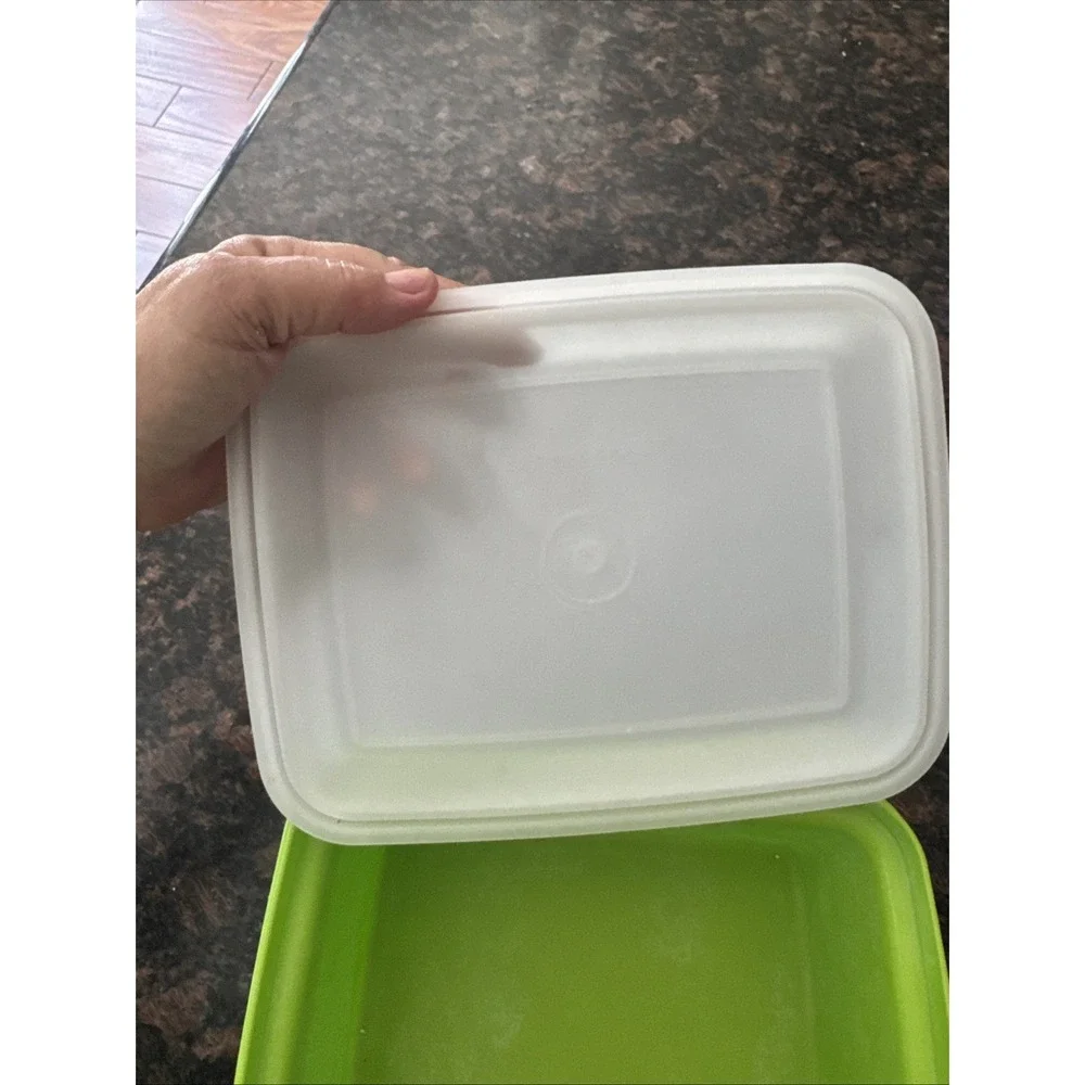 Vintage TUPPERWARE 1254 FREEZE-N-SAVE Ice Cream Storage Container - Green - EUC
